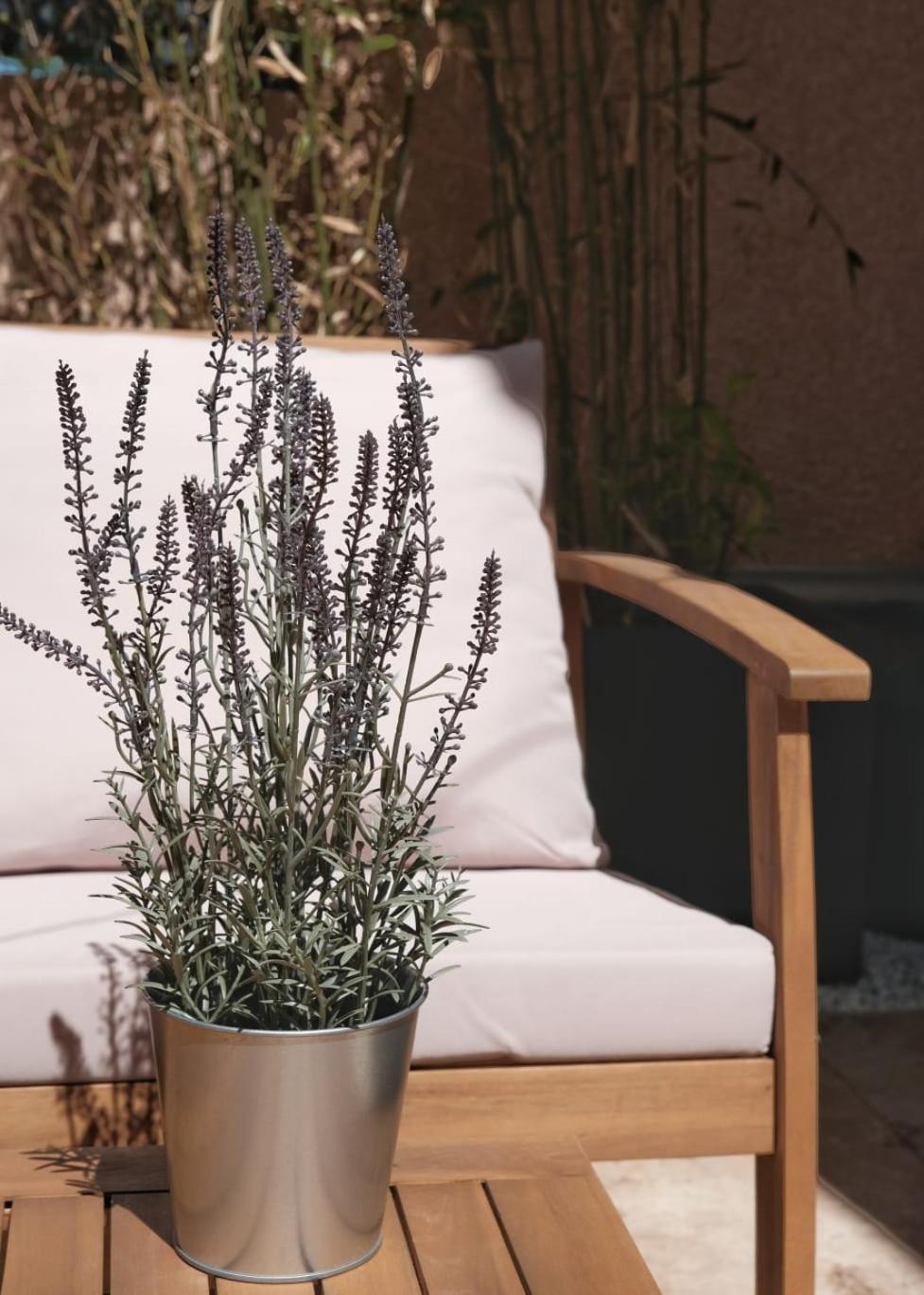 Studio Renove Avec Belle Terrasse Aix-en-Provence Eksteriør billede